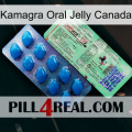 Kamagra Oral Jelly Canada new02